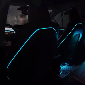 Luz Ambiental RGBIC para Auto, Directo de Fábrica, para Tesla Model 3 2021-2022, Decoración Interior, Tira LED - Product Image 2