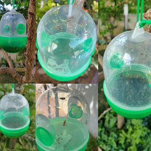 Piège à guêpes suspendu réutilisable pour l'extérieur, attrape-mouches, cage de capture pour apiculture, équipement et outils de lutte contre les frelons et les nuisibles - Product Image 5