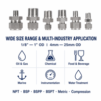 Stainless Steel Male Connector Flareless 316 Threaded Npt Pipe Fitting for Chemical Processing Water Treatment