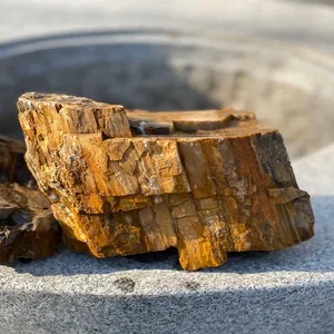 자연 나무 돌 수족관 바위 물고기 탱크 장식 조경 돌 석화 나무 돌