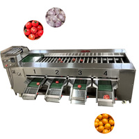 Commerciële sorteer- en sorteermachine voor aardappelen, uien, tomaten, lychees, kiwi's en appels; sorteermachine met rollen voor het sorteren van fruit op maat.