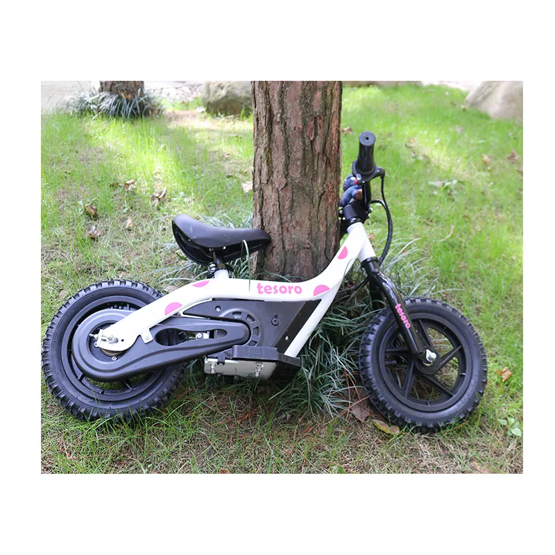 Vélo électrique pour enfants, bicyclette avec cadre en alliage de 12 pouces, 24V 100W, pour enfants de 3 à 8 ans