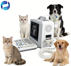 Portable Veterinary <strong>Ultrasound</strong> Scanner Medical Diagnostic <strong>Ultrasound</strong> Scanner with Key Accessories - Product Image 3