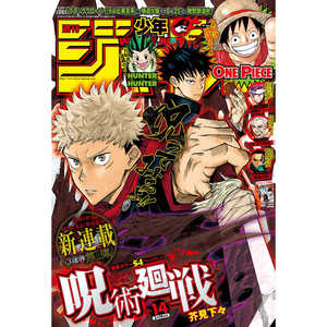 2018 Weekly Shonen Jump N. Standee del Primo Capitolo di Jujutsu Kaisen, 14 Pezzi, Espositore in Acrilico per Anime e Videogiochi Giapponesi - Product Image 4