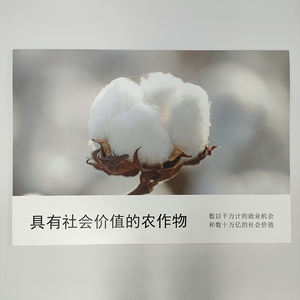 Dimensioni personalizzate PVC <span class=keywords><strong>Forex</strong></span> Board 3mm 4mm 5mm di <span class=keywords><strong>spessore</strong></span> per il punto di vendita di visualizzazione e Poster Stand - Product Image 6