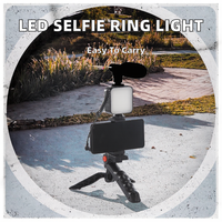 Anneau lumineux pour selfie à LED très vendu, avec microphone pour diffusion en continu sur TikTok, éclairage photographique de beauté de bureau, support de téléphone, trépied