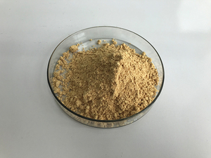 Fábrica preço competitivo 10% kaempferol pó kaempferol - Product Image 3