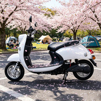CKD SKD Sepeda Motor Listrik Jarak Jauh 10 inci 600/800W Kecepatan 50km/jam Skuter Listrik 2 Roda Sepeda Motor Listrik Dewasa