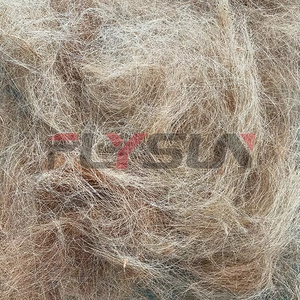 椰子棕榈壳纤维分离机椰子纤维去除剂设备椰子皮刷毛纤维提取机 - Product Image 6