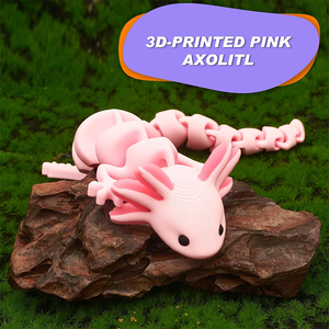 ของเล่นแก้เครียดรูปสัตว์อะโซโลลทอล 3 มิติ พิมพ์ด้วยเทคโนโลยี 3D ข้อต่อขยับได้ ของขวัญวันเกิด ของเล่นตั้งโต๊ะ ตกแต่งบ้าน บรรเทาความเครียด - Product Image 5
