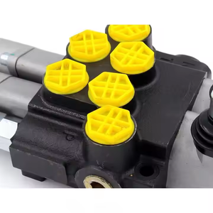 วาล์วควบคุมทิศทางไฮดรอลิก P40-G12-2OT สำหรับเครื่องจักรก่อสร้าง เกษตรกรรม และอุตสาหกรรม |   มืออาชีพ - Product Image 4