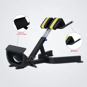 Fitness Gym Equipment High Quality Gym Equipment Back Extension Press Roman Chair Fitness