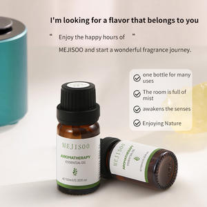 Huile Essentielle d'Aromathérapie Tout Anglais Soluble dans l'Eau MEJISOO pour Diffuseur – Parfum Longue Durée 4-12 Heures – Flacon Cylindrique - Product Image 3