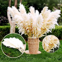 Plumes de roseaux de pampa naturelles séchées, grandes et moelleuses, pour mariage bohème, décoration de maison, vase au sol, décoration de ferme, vente en gros