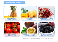 Commerciële automatische sapcentrifuge van 304 roestvrij staal voor fruit en groenten, geschikt voor appel, sinaasappel en wortel