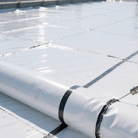 Membrane imperméable de type TPO H P L pour toiture