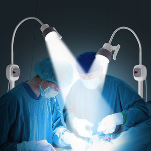 Lámpara Quirúrgica LED Yue Shunkang, Fuente de Luz Fría, Vertical, de Pie, Portátil, sin Sombra, para Exámenes Médicos - Product Image 1