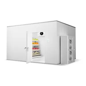 Walk In Blast Freezer For Seafood Meat Quick Freezer Fish Cold Storage Cold Room For Fruit And Vegetables