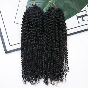 <span class=keywords><strong>Extensiones</strong></span> de Cabello Humano Virgen Rizado Pre-Enlazado para Crochet, Trenzas Sin Nudos, Paquetes de Cabello Rizado Birmano <span class=keywords><strong>Micro</strong></span>-Hair - Product Image 4