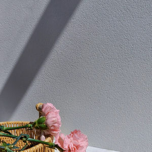 Inorganic <strong>Coating</strong> for Swimming Pool Walls, Long-Term Immersion Resistance, Waterproof &amp; <strong>Anti-Algae</strong> - Product Image 1