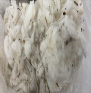 Déchets de coton Lickerin d'origine vietnamienne, fibres de coton recyclées pour la fabrication de non-tissés et les chiffons de nettoyage industriels - Product Image 3