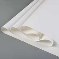 60 pouces Grand Format 3.2m Étanche Jet D'encre Toile Rouleau 320gsm Mat pour Affiche Bannière Pigment C 320gsm Mat Peinture Toile