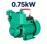 Pompe à eau centrifuge auto-amorçante électrique 220V pour système de surpression d'eau de puits domestique