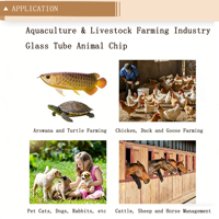Microchip implantable multi-tailles, seringue, étiquette sous-cutanée, puce EM4305 8 Ko, fréquence 134,2 KHz, injection RFID, étiquette animale