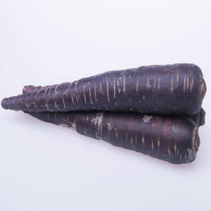 Yüksek kaliteli GMP standart antosiyanin antosiyanidin gıda sınıfı siyah havuç ekstresi tozu formu meyve parçası kullanılan su UV davul - Product Image 4