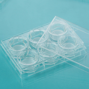 Forniture di laboratorio di capsule di <span class=keywords><strong>Petri</strong></span> a membrana in plastica a 6 pozzetti per inserti per colture cellulari di ricerca biologica - Product Image 1