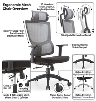 Chaise de bureau ergonomique entièrement en maille avec fonctions réglables, certifiée BIFMA pour les longues heures de travail