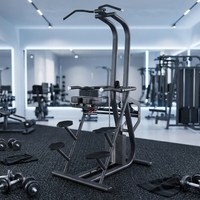 Mesin Pull Up Dip Komersial dengan Beban Terpadu untuk Latihan Kekuatan Punggung, Lengan, dan Dada di Gym