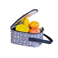 Sac isotherme portable écologique en PVC et aluminium |   Sac à déjeuner isotherme imperméable pour pique-nique et vin |   Chaleur
