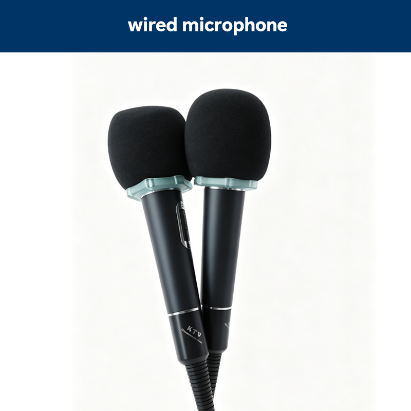 wired microphone*10