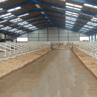 Abri pour vaches en acier préfabriqué, directement de l'usine, structure en acier, hangar pour animaux