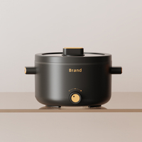 Nouvelle arrivée 2 litres en céramique multi-bouilloire électrique cuisinière multifonction avec protection de sécurité contre la surchauffe et la désactivation du chauffage à sec