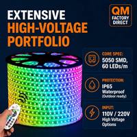 Bande LED RGB 220V en gros, étanche IP67, AC220V, multicolore, synchronisation musicale, contrôle par application, pour décoration extérieure de bâtiments, vente directe usine
