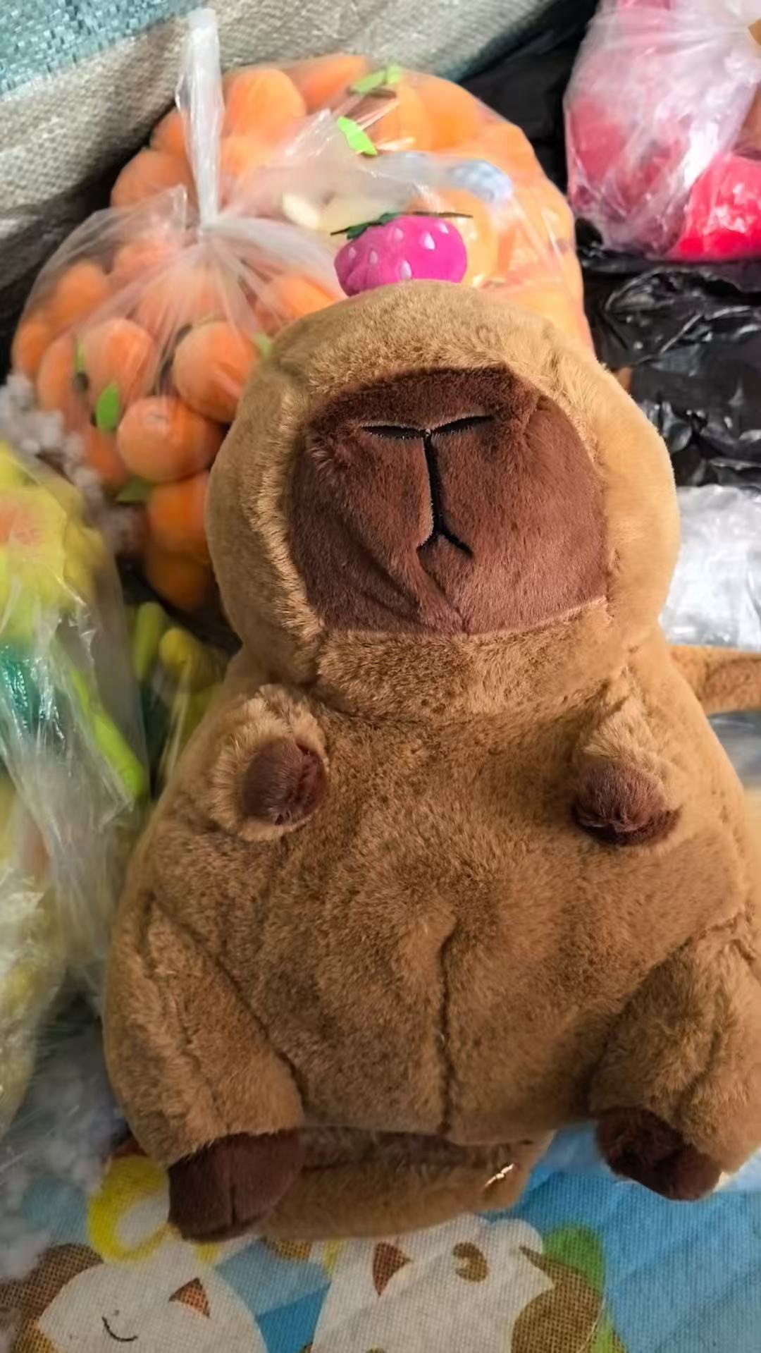 Capybara fraise sur la tête