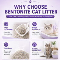 Litière agglomérante pour chat à base de bentonite, faible dispersion, granulés sphériques, approuvée ISO, éliminateur d'odeurs, sable