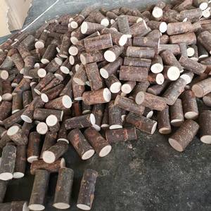 ที่กำหนดเองไม้เนื้อแข็งติดธรรมชาติต้นไม้ขนาดเล็กสาขา DIY งานฝีมือไม้ตกแต่ง - Product Image 3