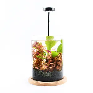 Indoor Ronde Kleine Glazen Aquarium Desktop Creatieve Gratis Wateruitwisseling Ecologische Gouden Aquarium Mini Fish Tank Aquarium