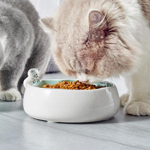 Cerâmica Anti-Knock Gato e Cão Tigela Padrão Sólido Eco <span class=keywords><strong>Pet</strong></span> Food e Beber Tigela de Arroz <span class=keywords><strong>Pet</strong></span> Supplies - Product Image 3