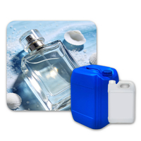 Huile de parfum marine originale de qualité supérieure, parfum frais et salé océanique pour diffuseur, bougie et huile corporelle, vente en gros