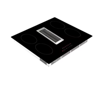 OEM avec table de cuisson électrique Flex Zone avec plaque à induction à ventilation descendante avec hotte aspirante intégrée