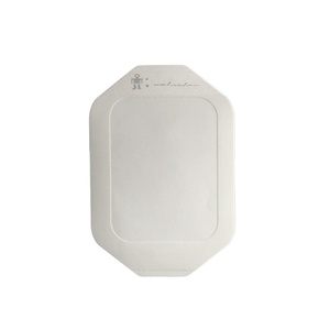 Vendaje de cánula <span class=keywords><strong>Iv</strong></span> autoadhesivo médico estéril EO, yeso no tejido para heridas/vendaje de cánula <span class=keywords><strong>IV</strong></span>/vendaje de fijación de cánula <span class=keywords><strong>IV</strong></span> - Product Image 5