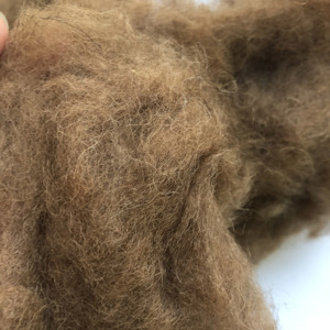 Dyed Camel <strong>Wool</strong> Fiber Carded Camel Hair With <strong>Brown</strong> Color Camel <strong>Wool</strong> - Product Image 5