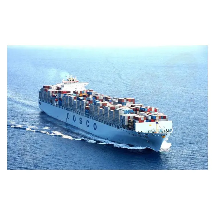 Từ Trung Quốc Thanh Đảo Thượng Hải Tianjin Ningbo Cảng <span class=keywords><strong>Fob</strong></span> Để Gioia Tauro Siêu Nhanh Giao Hàng Container Giao Thông Vận Tải