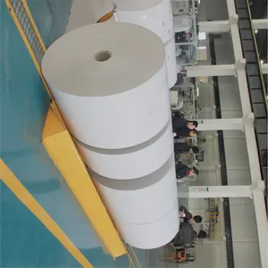 Duplex board C1S coated paper 300g 350g in roll 48109200