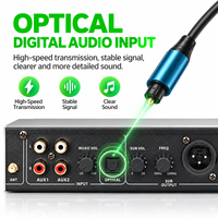 Processeur audio karaoké Bluetooth professionnel avec réverbération, écho et préampli, avec entrée optique pour KTV et studio à domicile