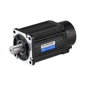 BeuDMKE Dc Servo Motor 1000W 750W 400W 48V Dc Elektirikli Motor For Robotic Lawn Mower Motor